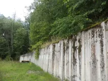 Dražba louky, Kaplice, 99 m2