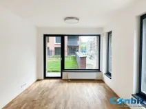 Pronájem bytu 2+kk, Praha - Karlín, Švarcova, 57 m2