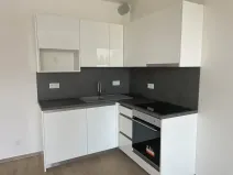 Prodej bytu 1+kk, Brno, Střední, 42 m2