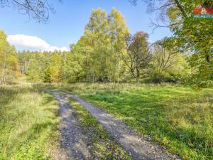 Prodej pozemku pro bydlení, Planá - Pavlovice, 4686 m2