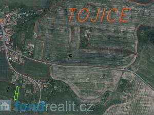 Prodej trvalého travního porostu, Tojice, 1003 m2