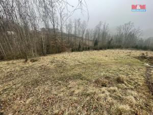 Prodej lesa, Košťálov, 33054 m2