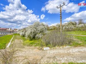 Prodej zahrady, Čistá, 1236 m2