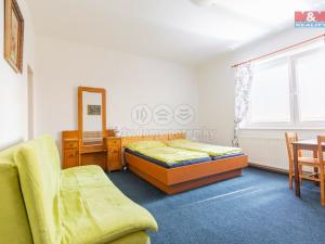 Prodej ubytování, Novosedly nad Nežárkou - Mláka, 480 m2