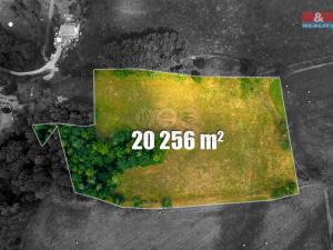 Prodej trvalého travního porostu, Rynoltice, 20256 m2