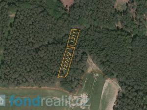Prodej lesa, Černýšovice, 68378 m2
