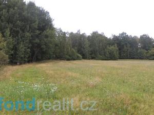 Prodej pozemku, Lodhéřov, 4105 m2