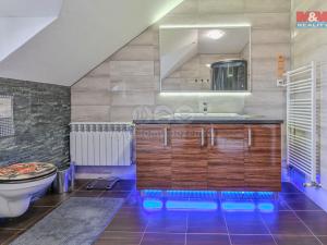 Prodej rodinného domu, Dětmarovice, 285 m2