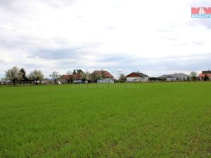 Prodej pozemku pro bydlení, Hřibiny-Ledská - Hřibiny, 8545 m2