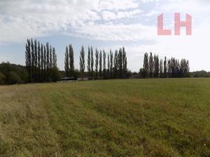 Prodej pozemku pro bydlení, Klimkovice, 5981 m2