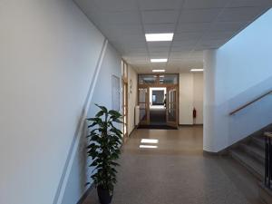 Pronájem kanceláře, Jablonec nad Nisou, Palackého, 35 m2