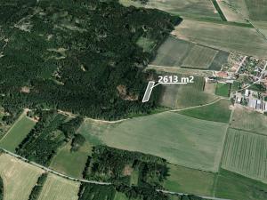 Prodej lesa, Třebětice, 2613 m2