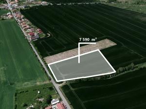 Prodej zemědělské půdy, Čáslav, 1265 m2