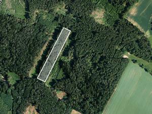 Prodej lesa, Vícenice, 6808 m2