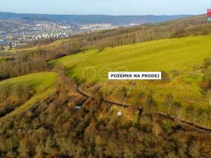 Prodej zemědělské půdy, Děčín - Děčín XXIX-Hoštice nad Labem, 3000 m2