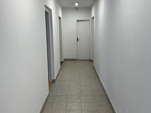 Pronájem komerčního pozemku, Malotice, 800 m2