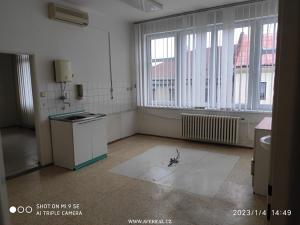 Prodej bytu 3+1, Kostelec nad Černými lesy, Pražská, 108 m2