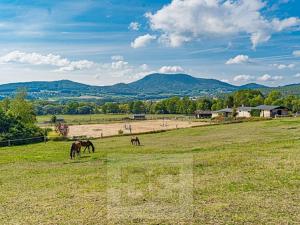 Prodej rodinného domu, Malečov, 400 m2