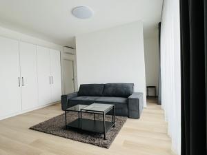 Pronájem bytu 1+kk, Brno, Nové sady, 53 m2