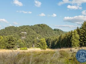Pronájem trvalého travního porostu, Srbská Kamenice, 57916 m2