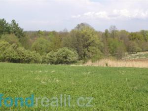 Prodej zemědělské půdy, Chotěbuz, 8787 m2