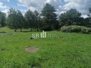 Prodej pozemku pro bydlení, Borová, 1405 m2