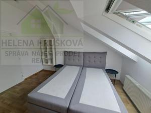 Pronájem bytu 2+kk, Ostrava, Hollarova, 60 m2