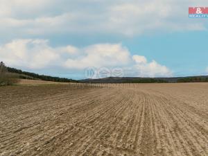 Prodej zemědělské půdy, Předenice, 5839 m2