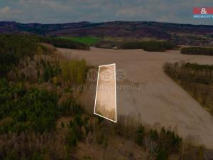 Prodej zemědělské půdy, Předenice, 5839 m2