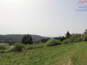 Prodej pozemku, Vráž, 9026 m2