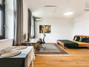 Prodej bytu 1+kk, Brno, Scheinerova, 38 m2