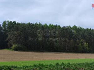 Prodej lesa, Litochovice, 12410 m2