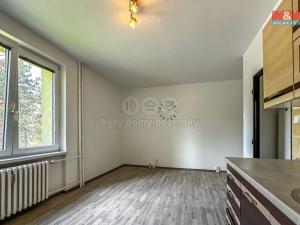 Prodej bytu 1+kk, Orlová - Lutyně, Masarykova třída, 25 m2
