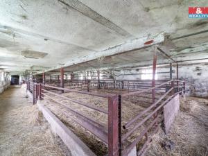 Prodej zemědělského objektu, Milíkov - Malá Šitboř, 843 m2