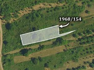 Prodej trvalého travního porostu, Suchov, 11650 m2