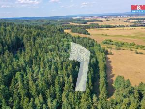 Prodej lesa, Dlouhý Újezd, 7291 m2