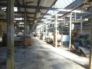 Prodej výrobních prostor, Stružinec, 10029 m2