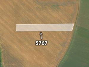 Prodej zemědělské půdy, Bánov, 12463 m2