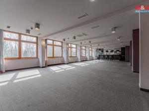 Pronájem komerční nemovitosti, Ostrava - Hrabůvka, Františka Hajdy, 1600 m2