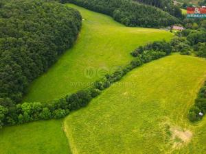 Prodej trvalého travního porostu, Staré Hutě, 11031 m2