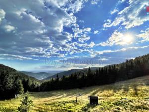 Pronájem bytu 1+kk, Loučná nad Desnou - Kouty nad Desnou, 23 m2