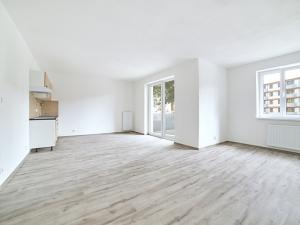 Pronájem bytu 1+kk, Plzeň, Železniční, 42 m2