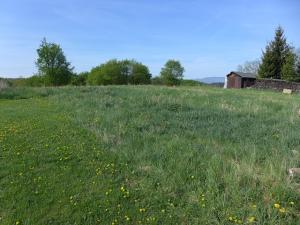 Prodej pozemku, Třeboň, 8000 m2