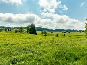 Prodej pozemku pro bydlení, Horní Blatná, Perninská, 1015 m2