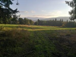 Prodej pozemku, Želnava, 14303 m2