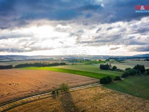 Prodej zemědělské usedlosti, Planá - Otín, 500 m2