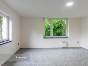 Prodej kanceláře, Plzeň, Kaplířova, 50 m2