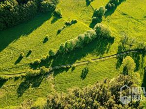 Prodej trvalého travního porostu, Proseč pod Ještědem, 3254 m2