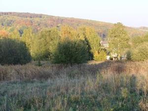 Prodej pozemku pro komerční výstavbu, Jiřetín pod Jedlovou, 12121 m2