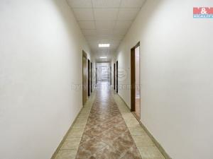 Prodej ubytování, Petrovice - Krásný Les, 800 m2